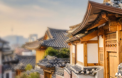 백내장 초기의 경우 보이는 화면