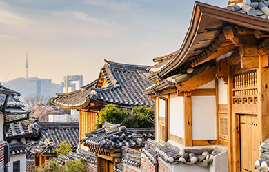 정상안의 경우 보이는 화면